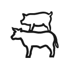 Faschiertes